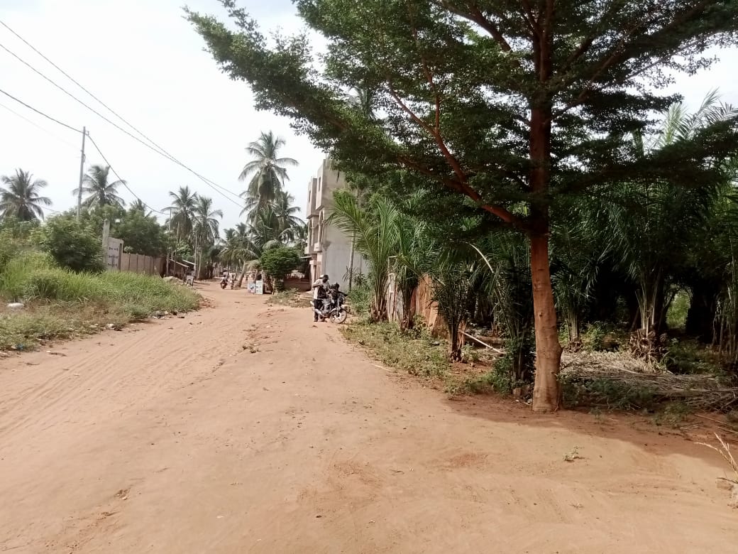 Terrain 1 lot en vente à Lankouvi – 26 millions FCFA