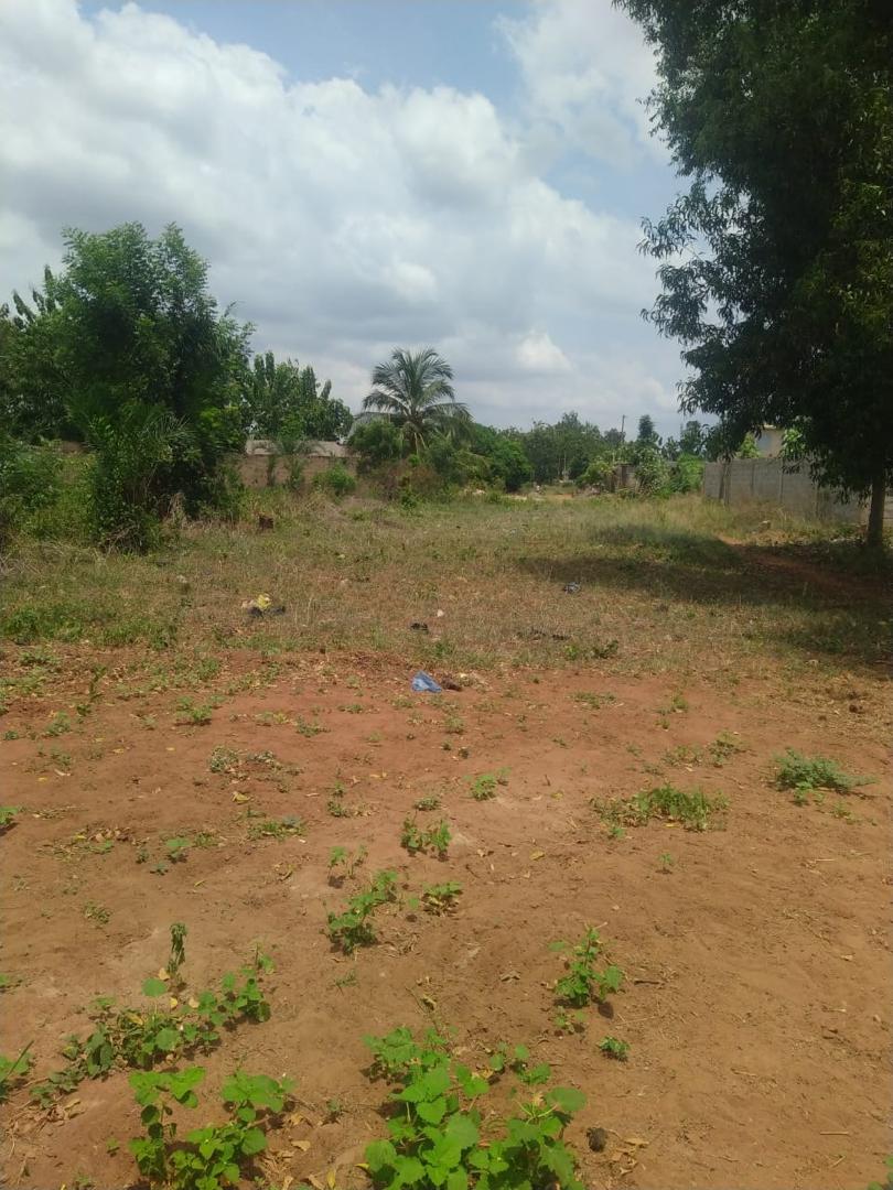 Terrain de 4 lots en vente à Apessito – 14 millions FCFA par lot