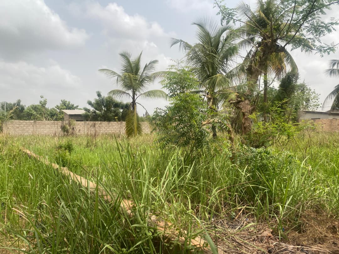 3 lots en vente à Akato Viepe – 18 millions FCFA le lot