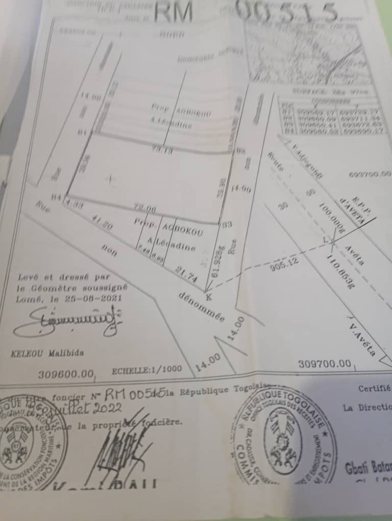 Terrain d'un demi-lot en vente à Djagblé Cité A – 8 millions FCFA