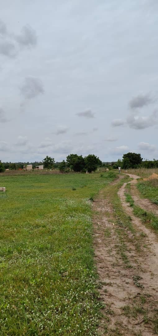 À VENDRE : 55 LOTS DISPONIBLES À ADÉTIKOPÉ TONOUKOUTI (ADOU-GODO)