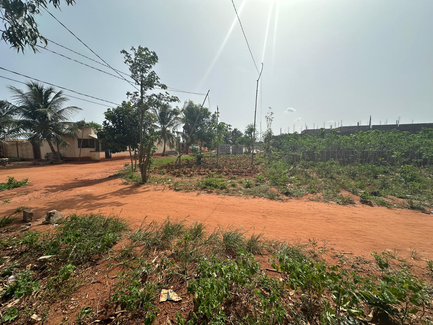 Terrain de 4200 m² (7 lots) en vente à Djagblé Abolavé – Prix à partir de 8 millions FCFA