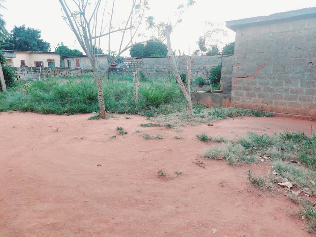 Terrain à vendre à Agoè – 21500000 FCFA