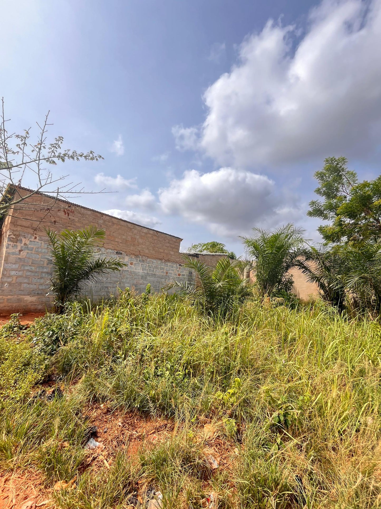 1/4 de lot en vente à Apessito – 3,5 millions FCFA