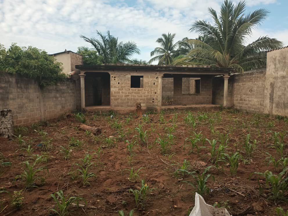 Villa 3 chambres à vendre à Zanguera, assemblée de Dieu – 16 millions FCFA