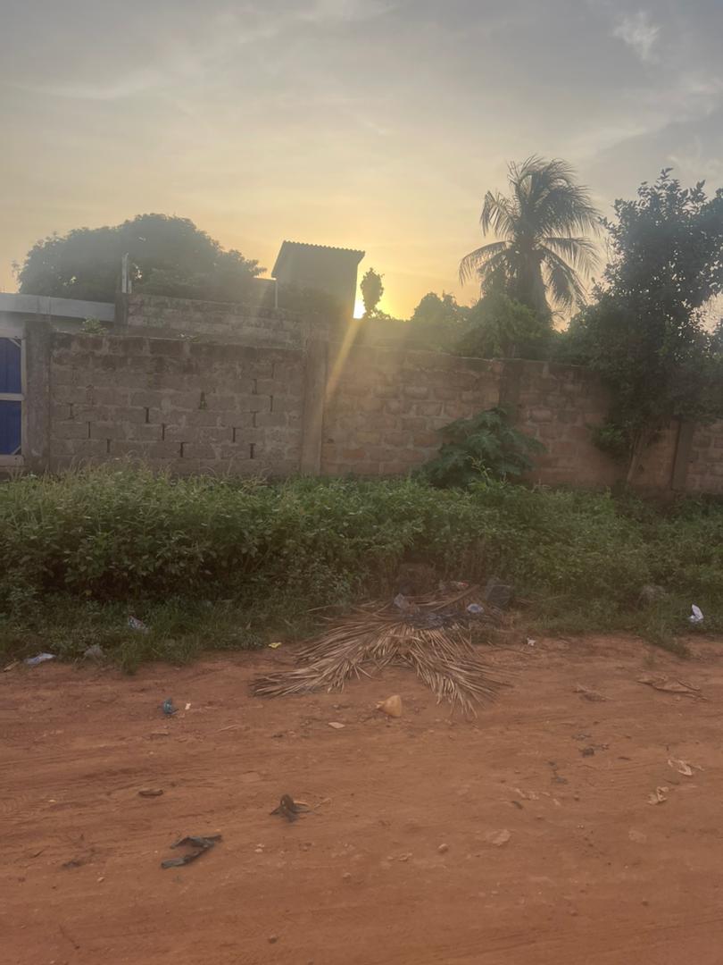 Demi lot de terrain à vendre à Agoè Mariam – 25 millions FCFA