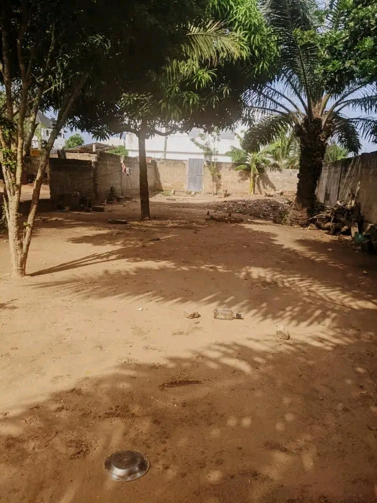 Terrain d'un lot et demi en vente à Atilamonou – 40 000 000 FCFA