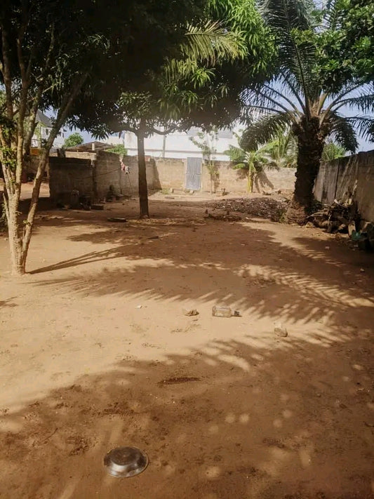 Terrain d'un lot et demi en vente à Atilamonou – 40 000 000 FCFA