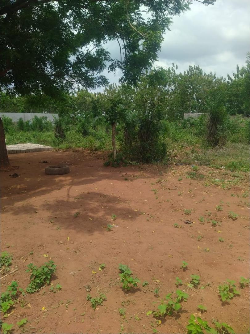 Terrain de 4 lots en vente à Apessito – 14 millions FCFA par lot