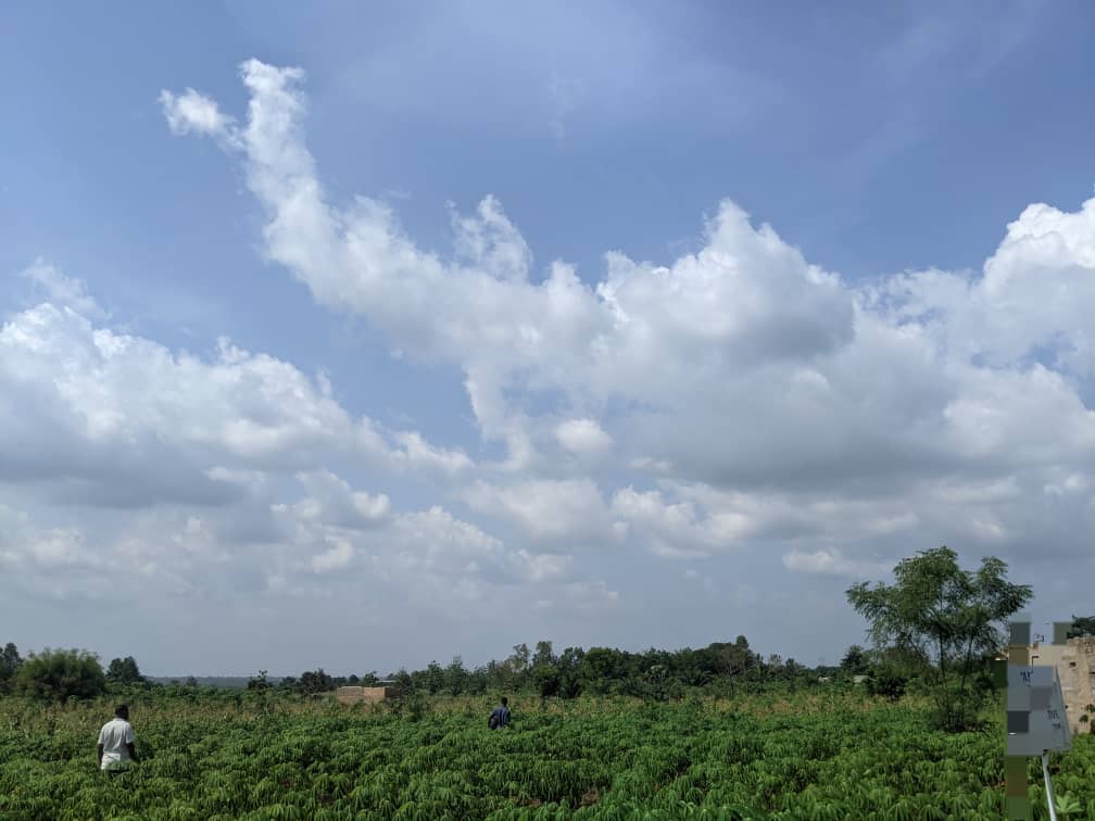 2 lots en vente à Noépé – 5 millions FCFA