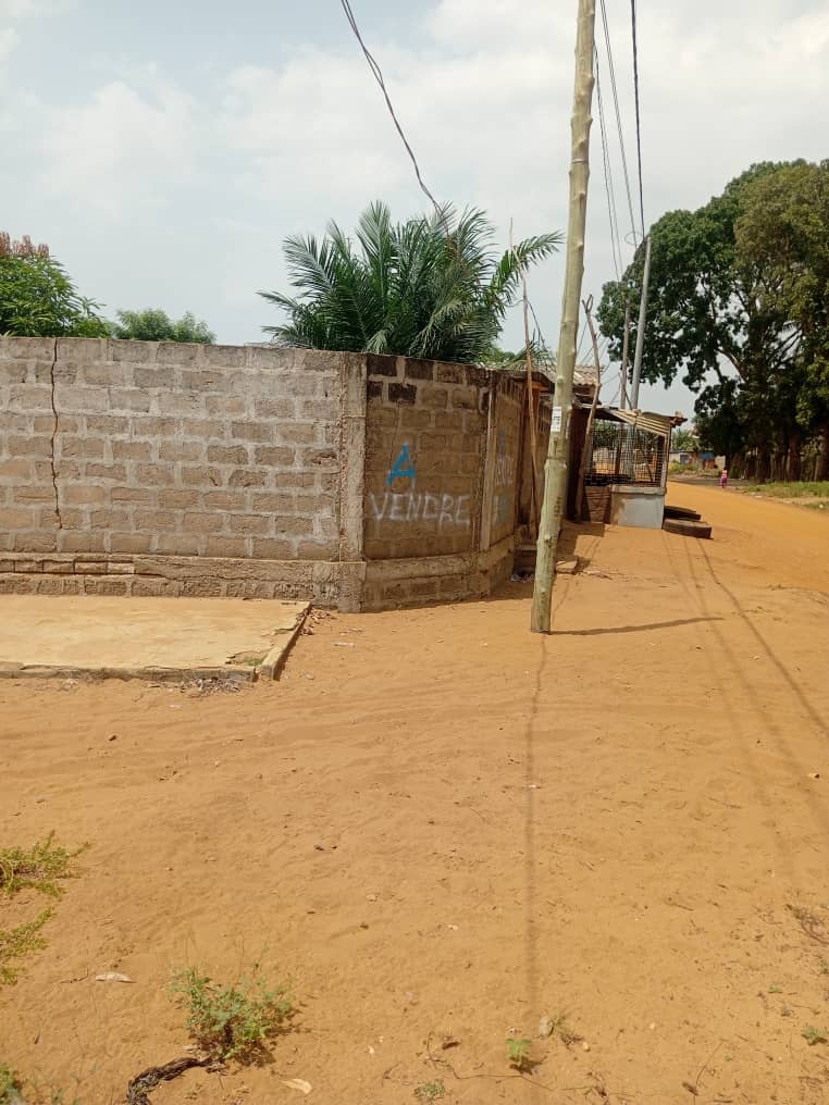 Terrain en vente à Togokomé (Aného) – 4,5 millions FCFA
