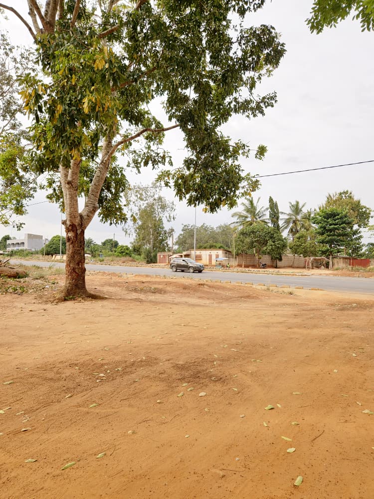 Terrain en vente à Noépé près du lycée Aképé–Noépé – 7,5 millions FCFA le lot