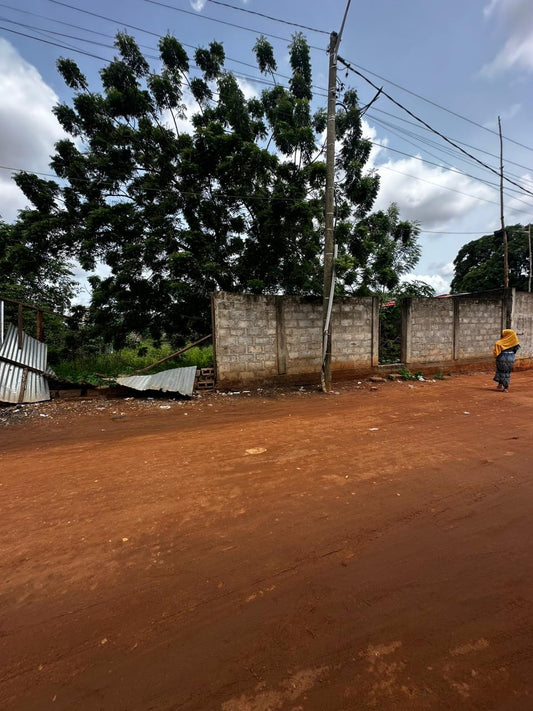 Terrain de 600 m² en vente à Agoè Fil O Parc à 100m de la nationale N°1 – 57 millions FCFA