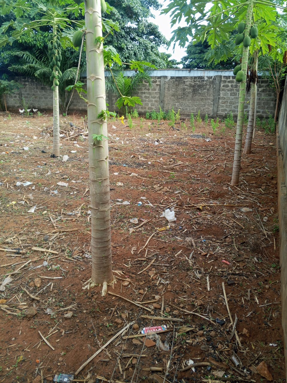 Terrain de 1800 m² en vente à Agoè Kossigan - 120 millions FCFA