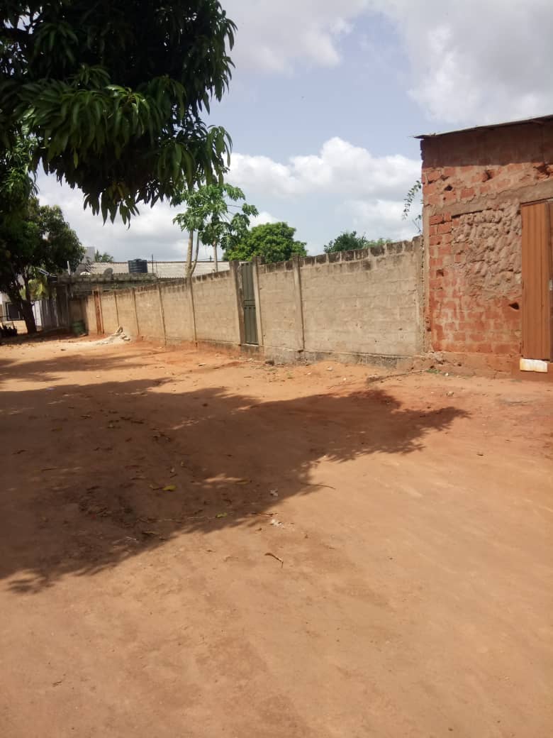 Terrain de 2 lots en vente à Adidogomé Gbomamé - 25 millions FCFA le lot