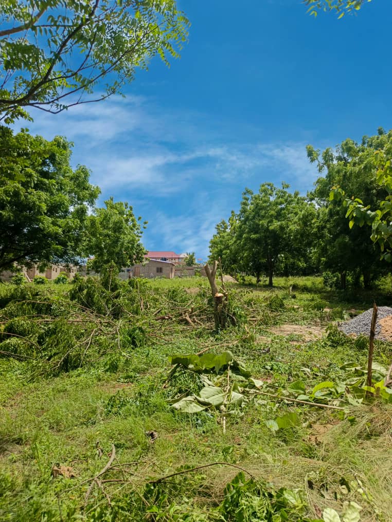 Terrain d'un demi-lot en vente à Aképédo – 7 millions FCFA