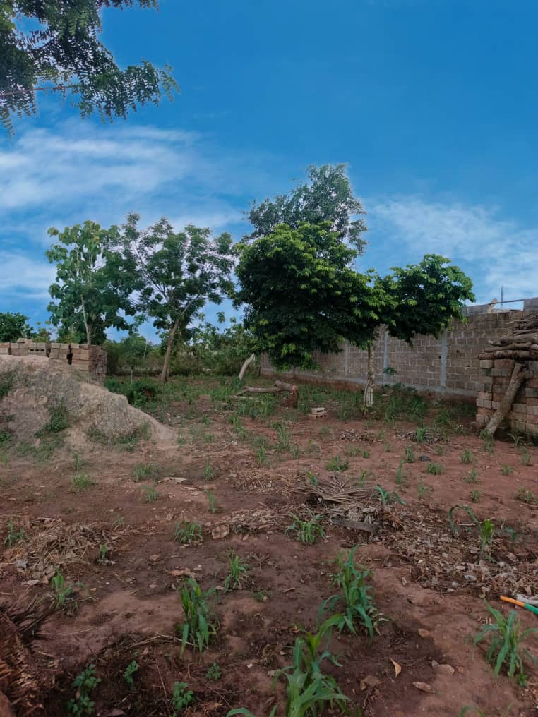 Terrain de 600 m² en vente à Aképé – 10 millions FCFA