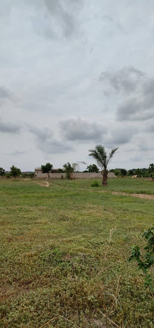 À VENDRE : 55 LOTS DISPONIBLES À ADÉTIKOPÉ TONOUKOUTI (ADOU-GODO)