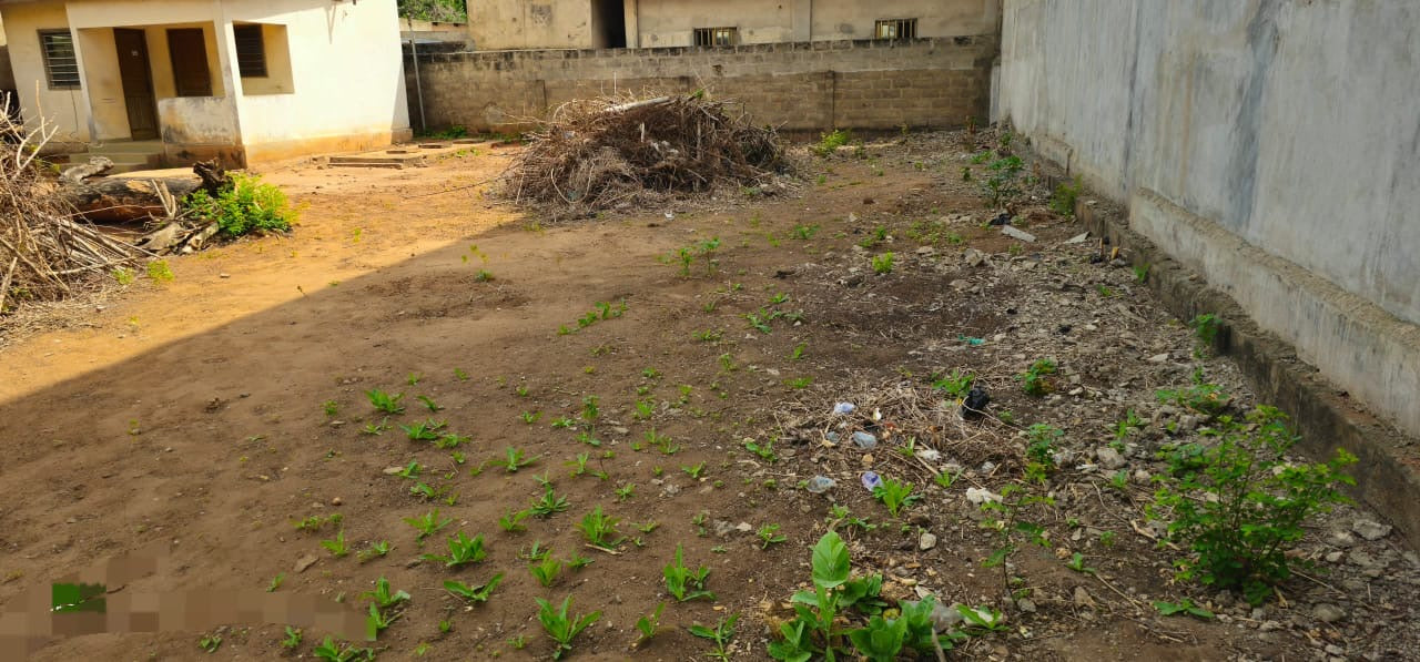 Terrain de 600 m² en vente à Tokoin Forever – 90 millions FCFA