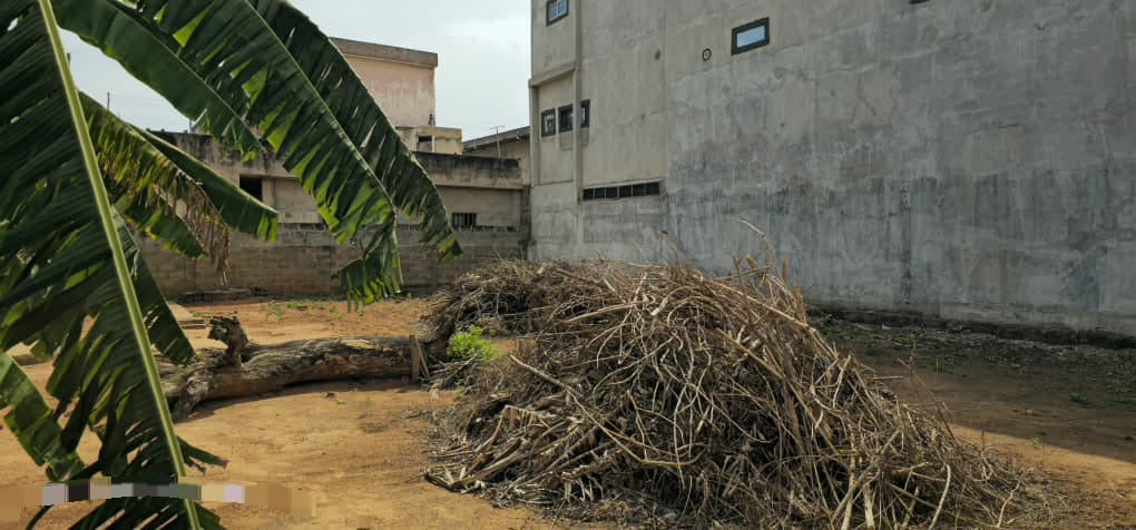 Terrain de 600 m² en vente à Tokoin Forever – 90 millions FCFA
