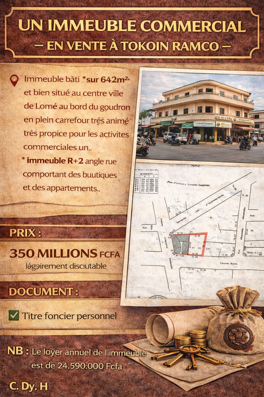 UN IMMEUBLE COMMERCIAL EN VENTE À TOKOIN RAMCO