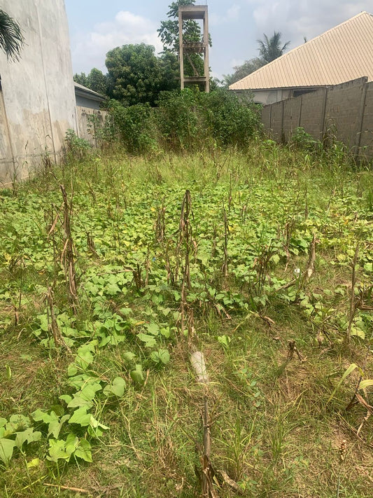 TERRAIN CLÔTURÉ À VENDRE À AKATO – 8 MILLIONS SEULEMENT !