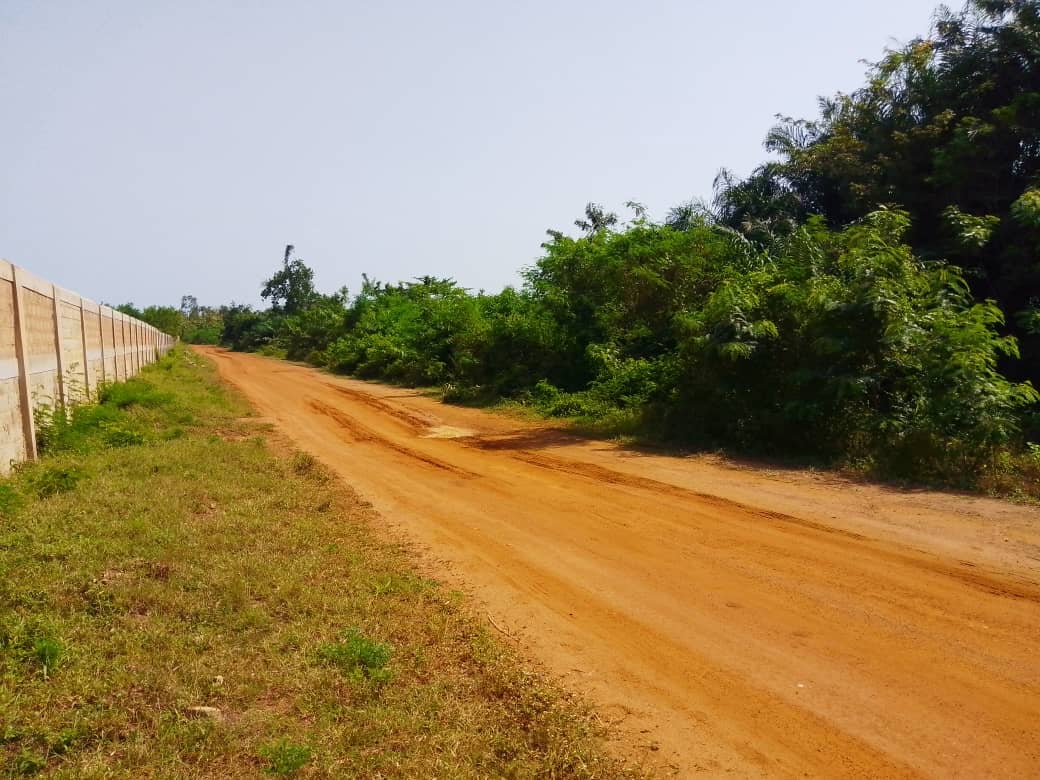 TERRAIN À VENDRE À DJAGBLÉ 200M DU GOUDRON