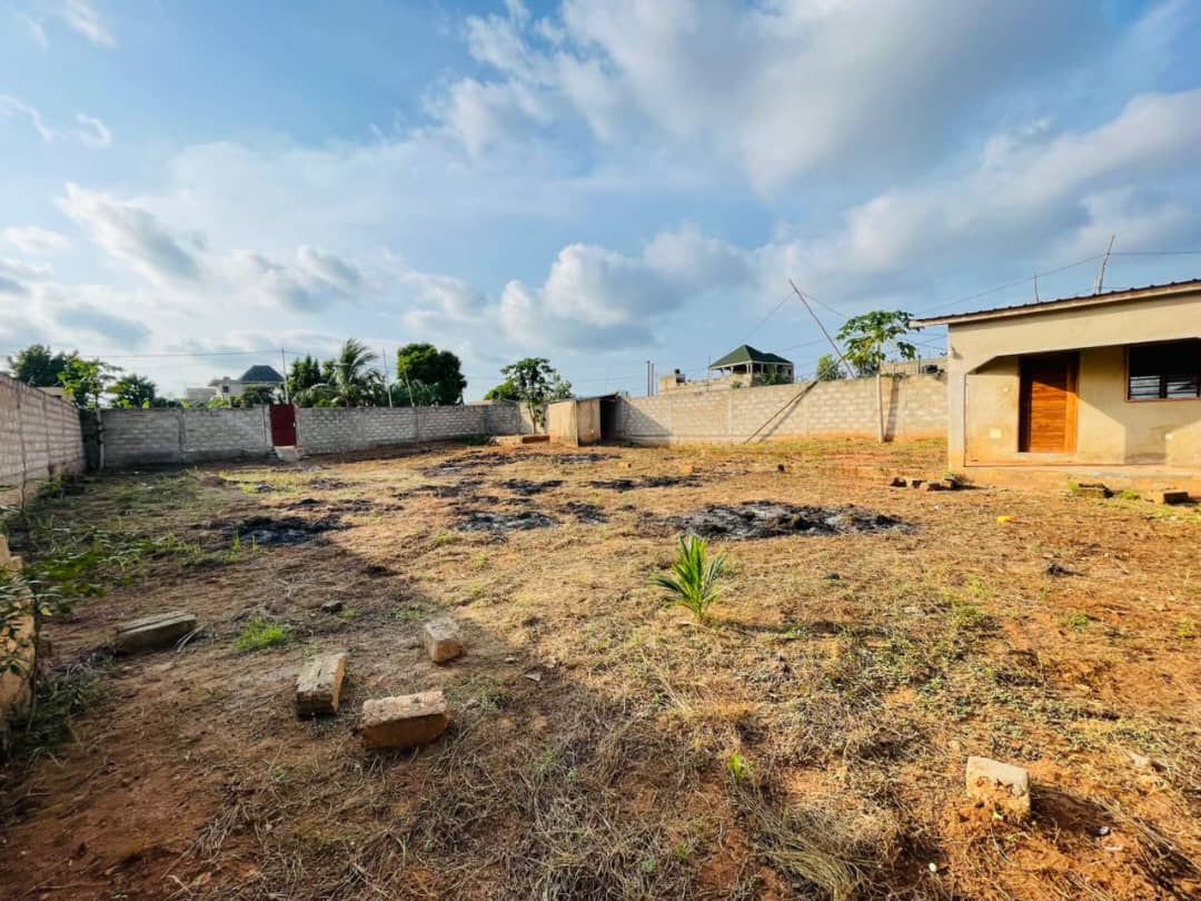 TERRAIN 1 LOT À VENDRE À ZANGUÉRA KLEME CHÂTEAU