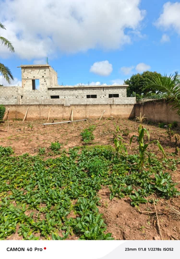 Terrain à vendre à Zanguera – 25 Millions FCFA