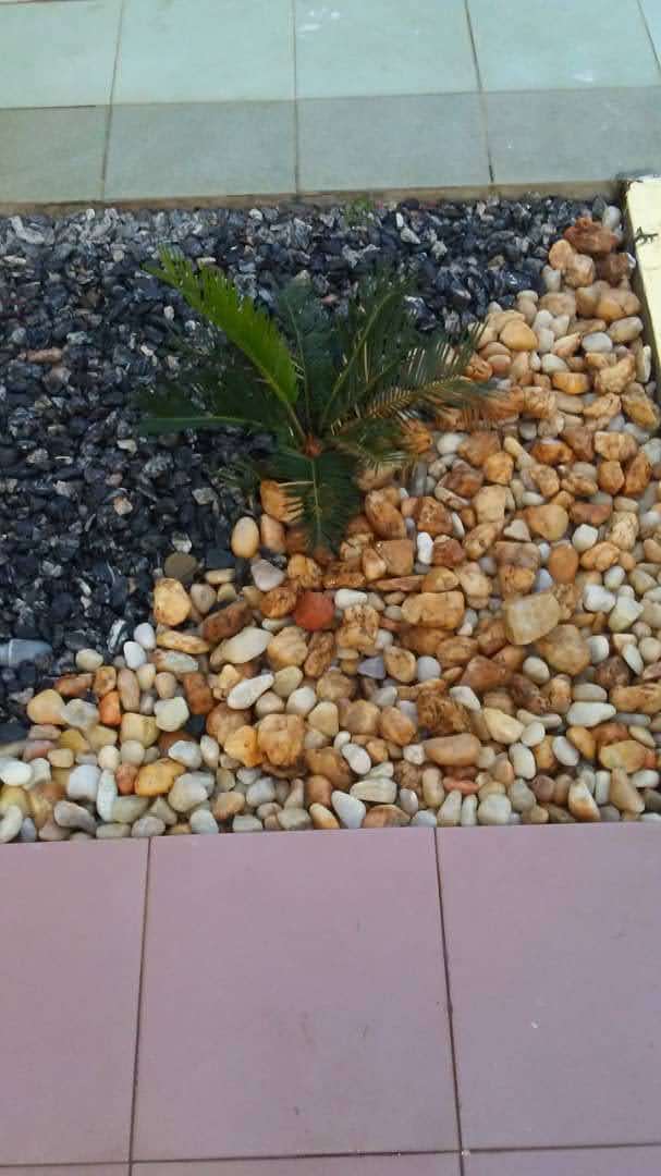 Villa à louer à Agoè Avédji – 1,5 Millions FCFA/mois