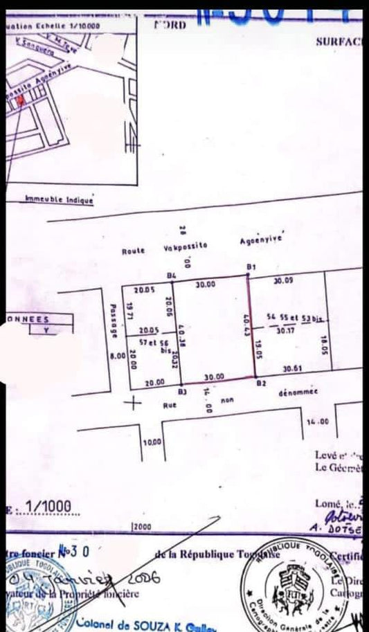 Terrain de 1200 m² en vente en bordure de goudron à Agoè Assiyéyé – 80 millions FCFA le lot