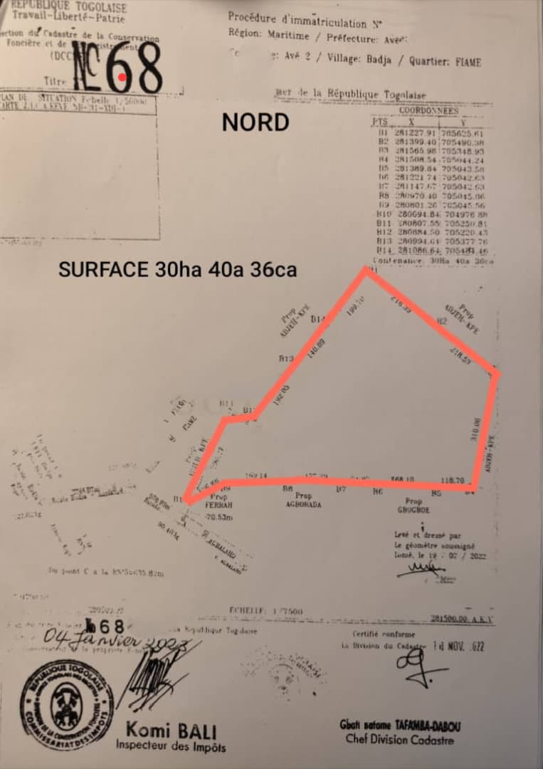 BADJA FIAMÉ – 30 HECTARES À VENDRE