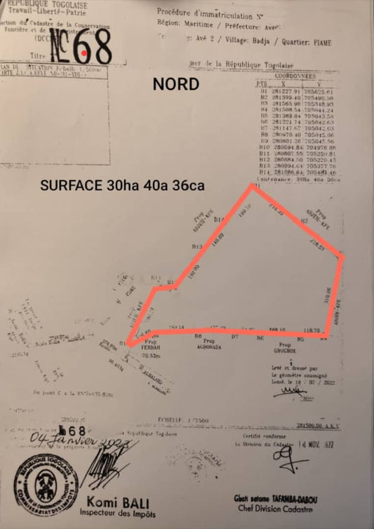 BADJA FIAMÉ – 30 HECTARES À VENDRE