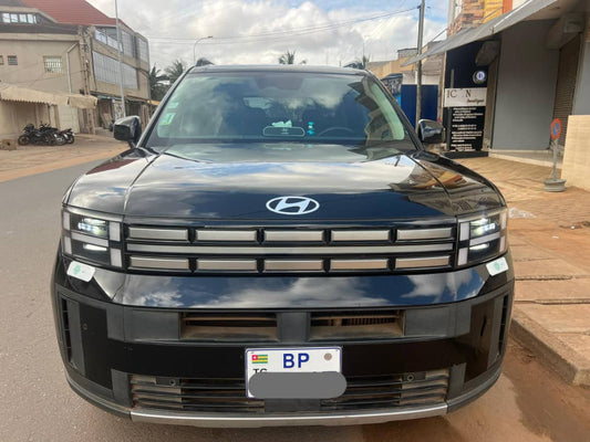 HYUNDAI SANTAFE HTrac 2024