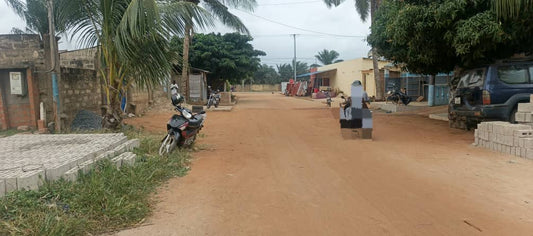 TRÈS BON TERRAIN À VENDRE À SÉGBÉ DOUANE