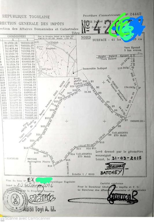 DES HECTARES À VENDRE À KPOMÉ