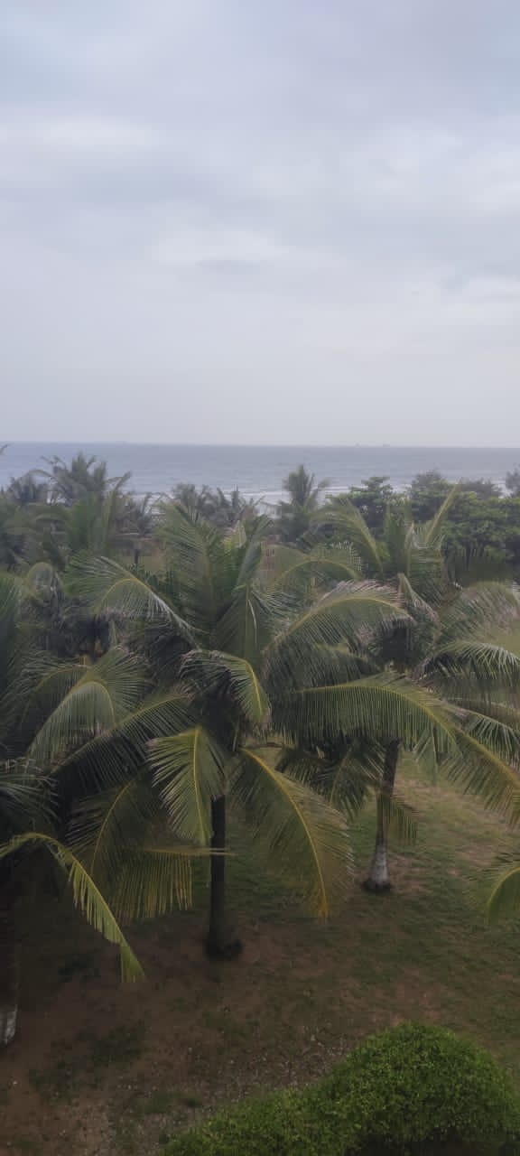 UN DOMAINE À VENDRE À BAGUIDA EN BORDURE DE LA MER