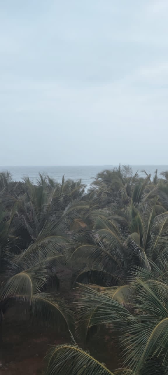 UN DOMAINE À VENDRE À BAGUIDA EN BORDURE DE LA MER