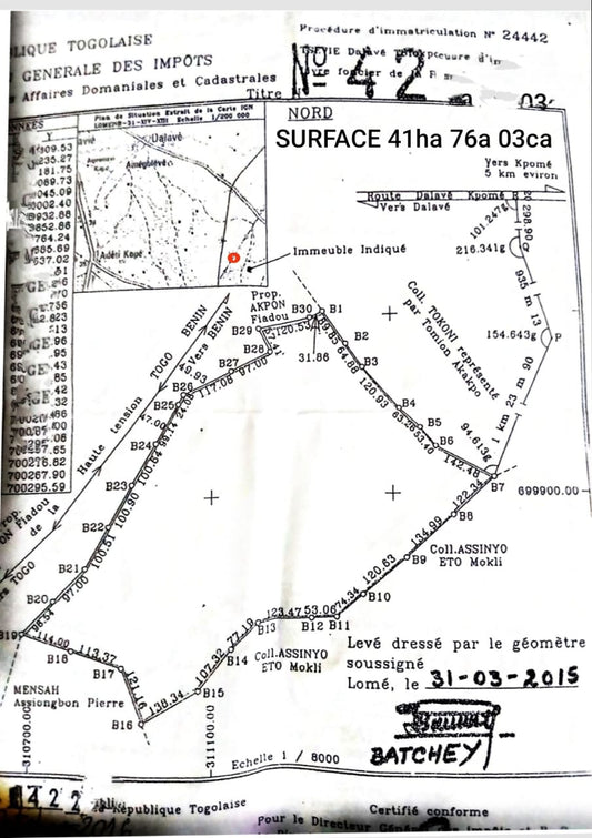 Terrain de 24000 m² en vente à Dalavé Totokpoé – 40 millions FCFA l'hectare