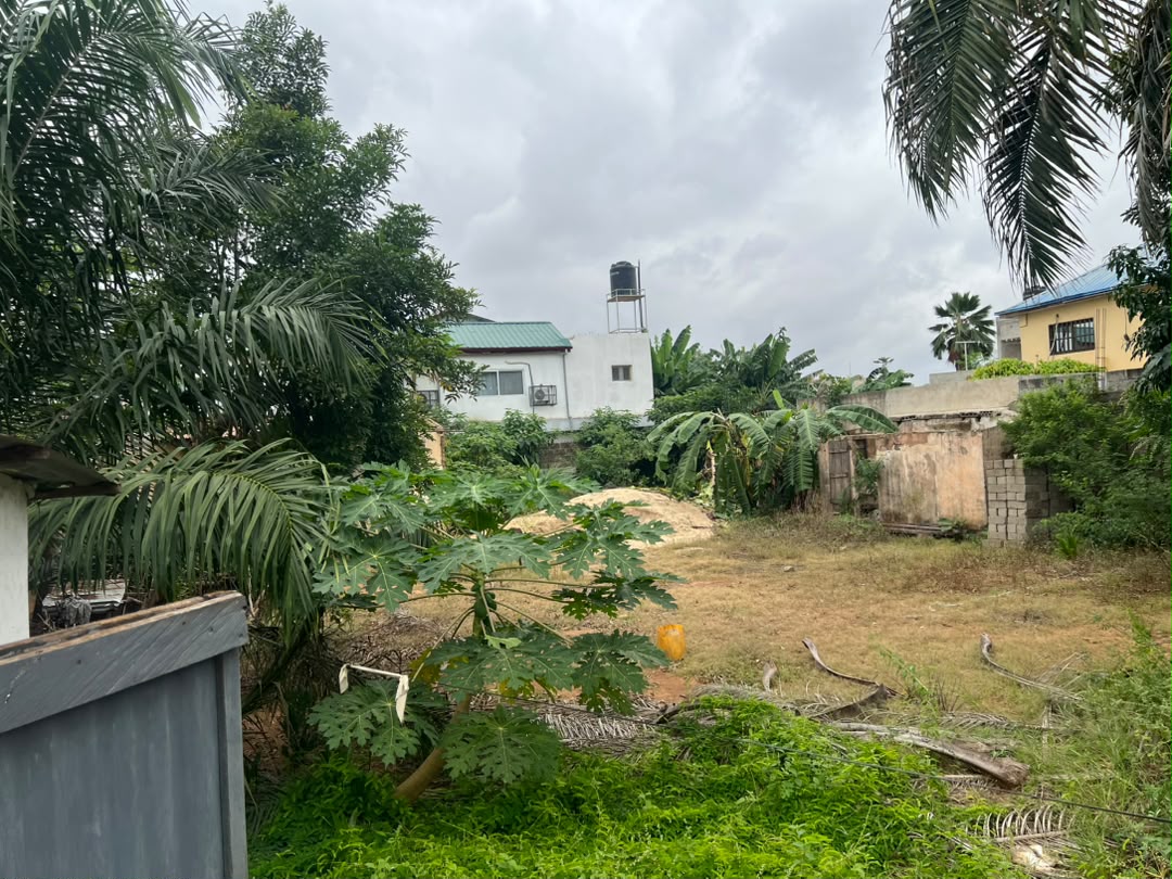 Terrain de 600 m² en vente à Agbalepedo – 55 millions FCFA