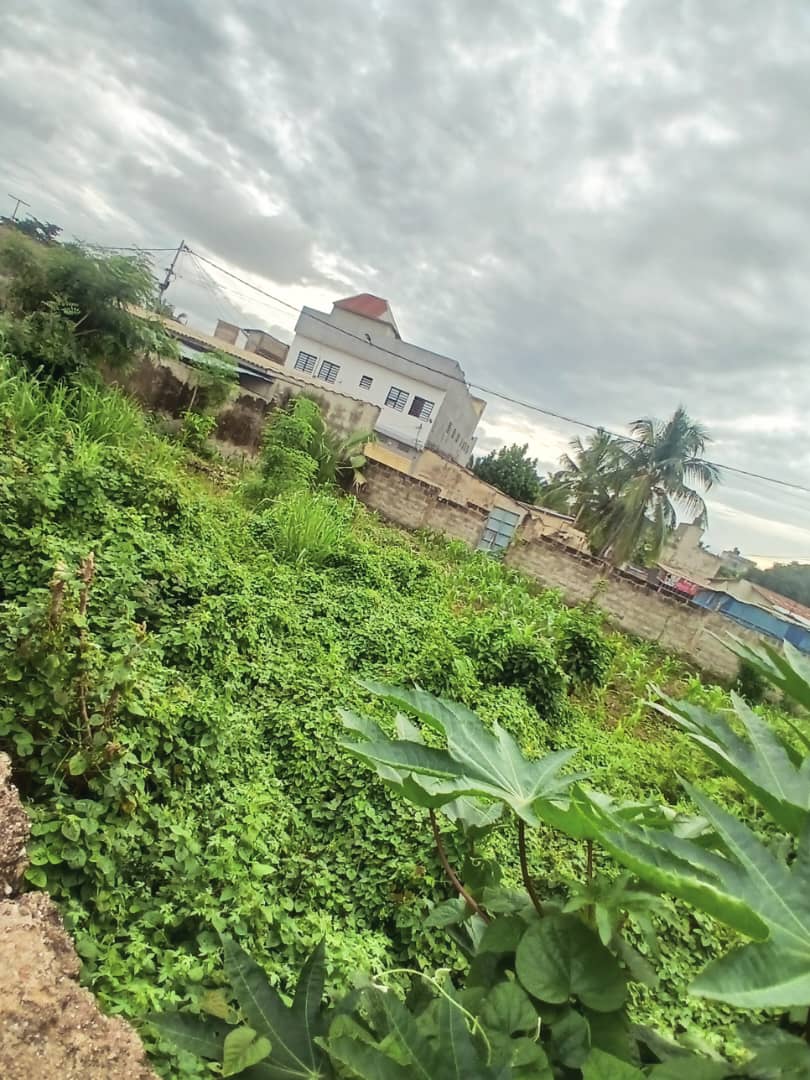 Terrain de 397 m² en vente à Zanguéra Atilamonou