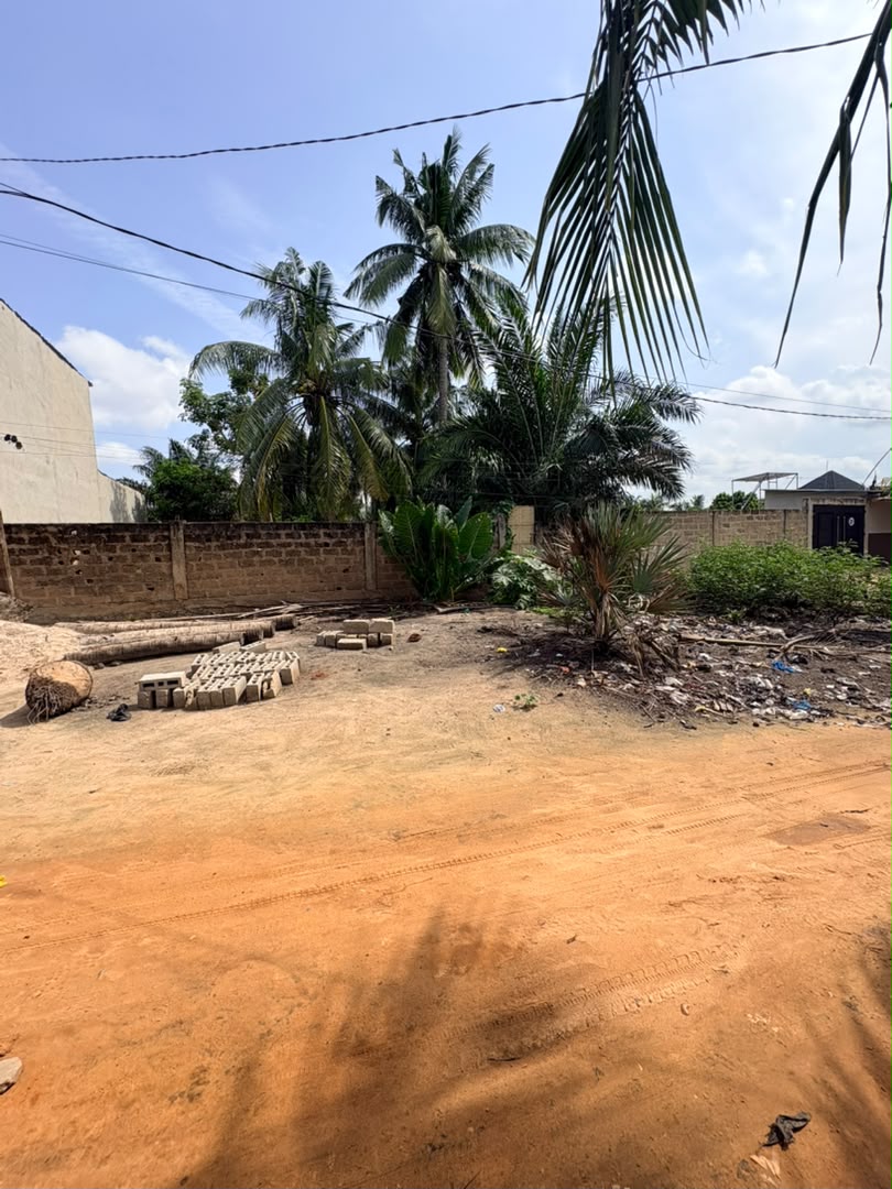 Terrain en vente d'un lot à Sogbossito – 20 millions FCFA