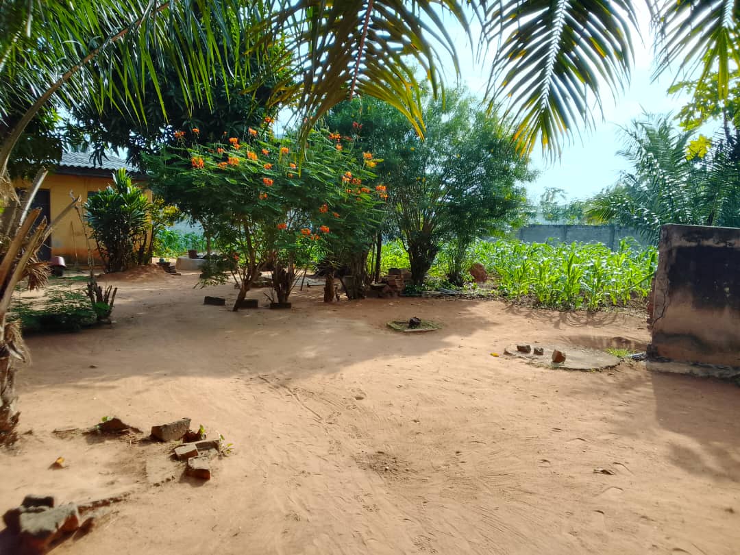 Terrain en vente à Adéticopé – 18 500 000 FCFA