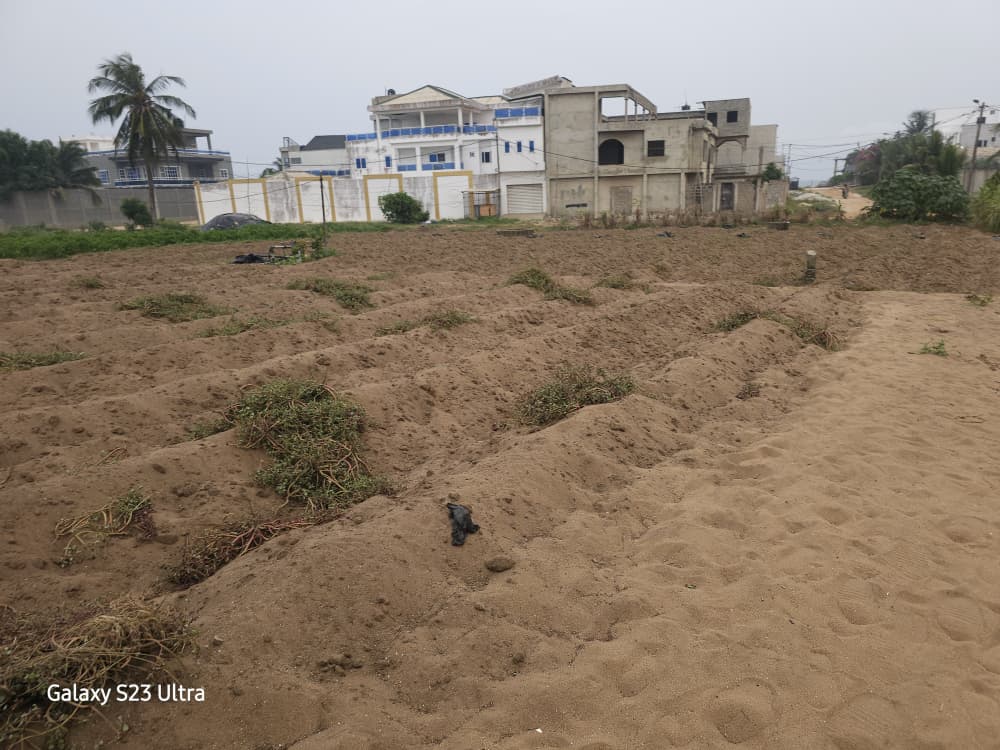 Terrain en angle de rue en vente à Baguida – 150 millions FCFA