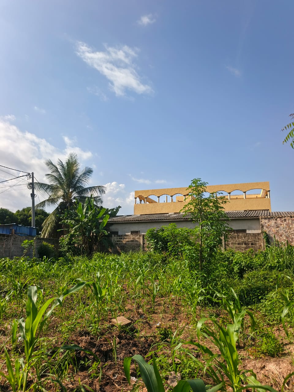 Terrain de 397 m² en vente à Zanguera – 25 millions FCFA