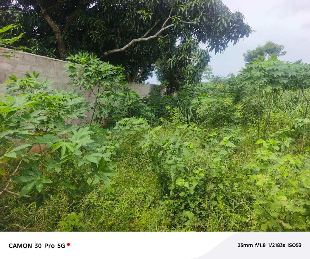 Terrain de 824 m² en vente à Assigamé, angle de rue – 750 millions FCFA