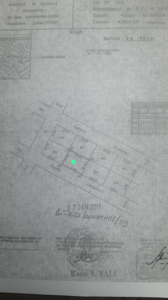 Terrain de 300 m² en vente à Amoutivé Lomnava – 60 millions FCFA