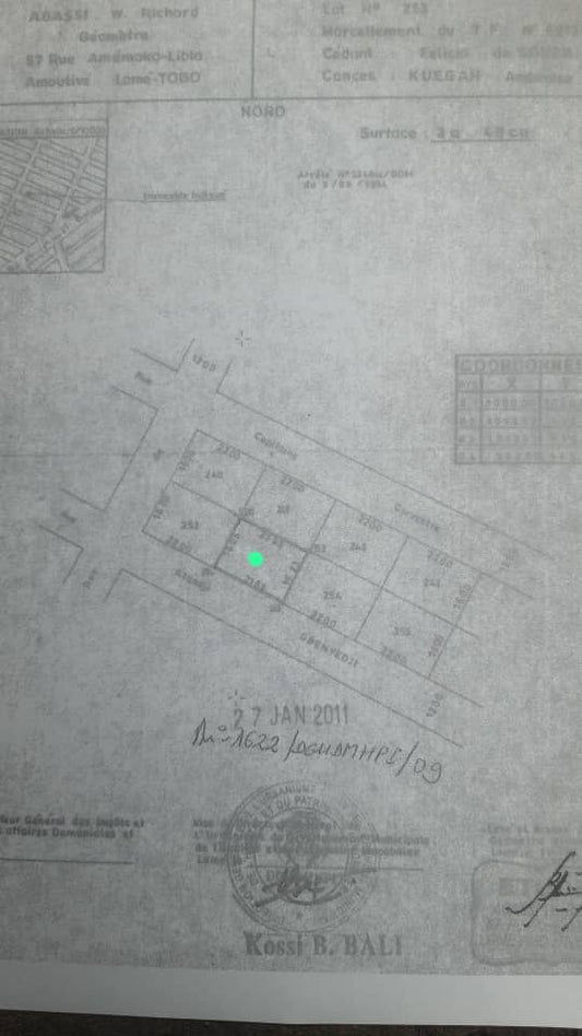 Terrain de 300 m² en vente à Amoutivé Lomnava – 60 millions FCFA