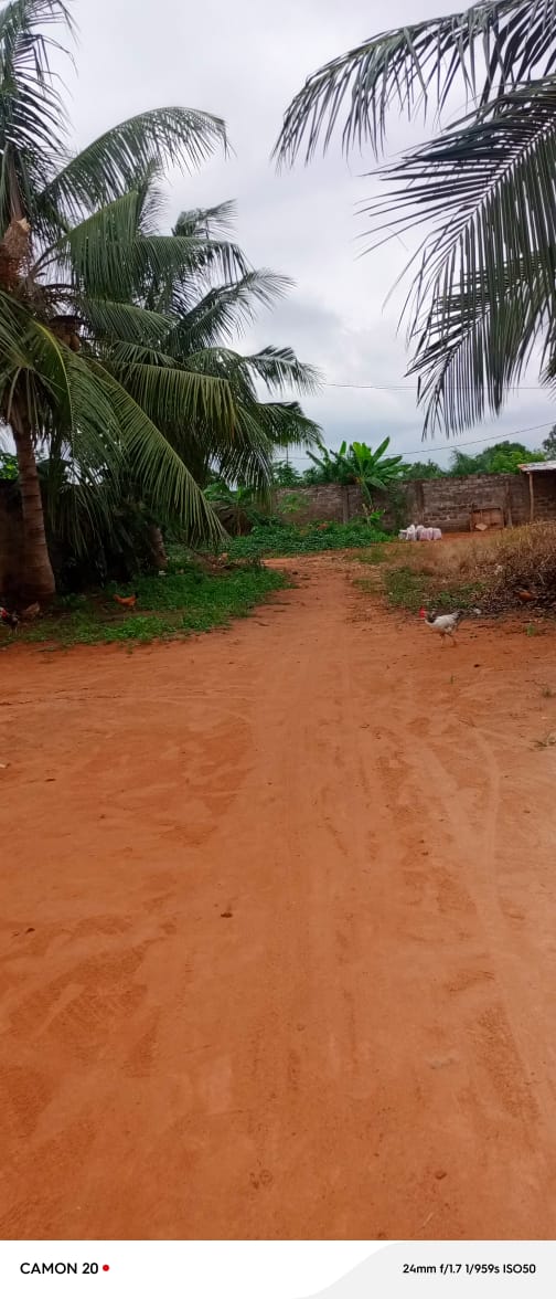Terrain de 1200 m² en vente à Zanguera, proche du goudron – 18 millions FCFA