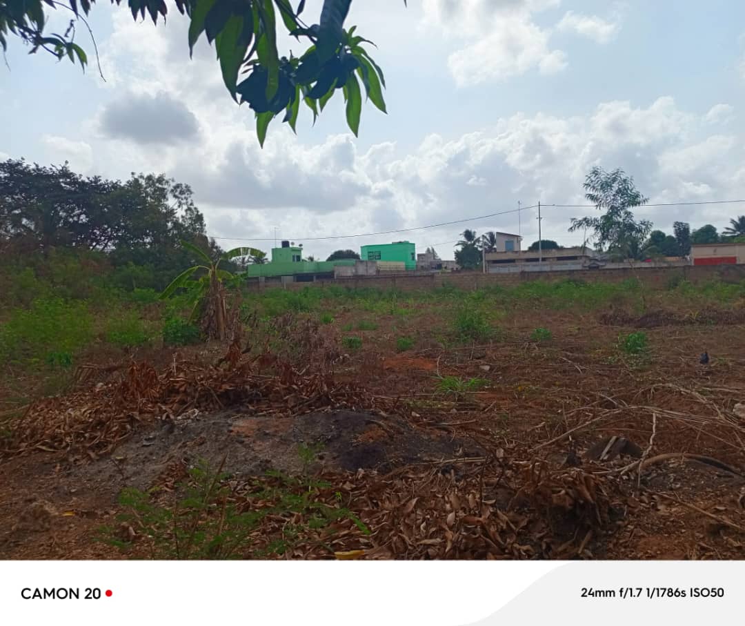 Terrain de 2700 m² en vente à Adidogomé Atigagomé – 25 millions FCFA le lot